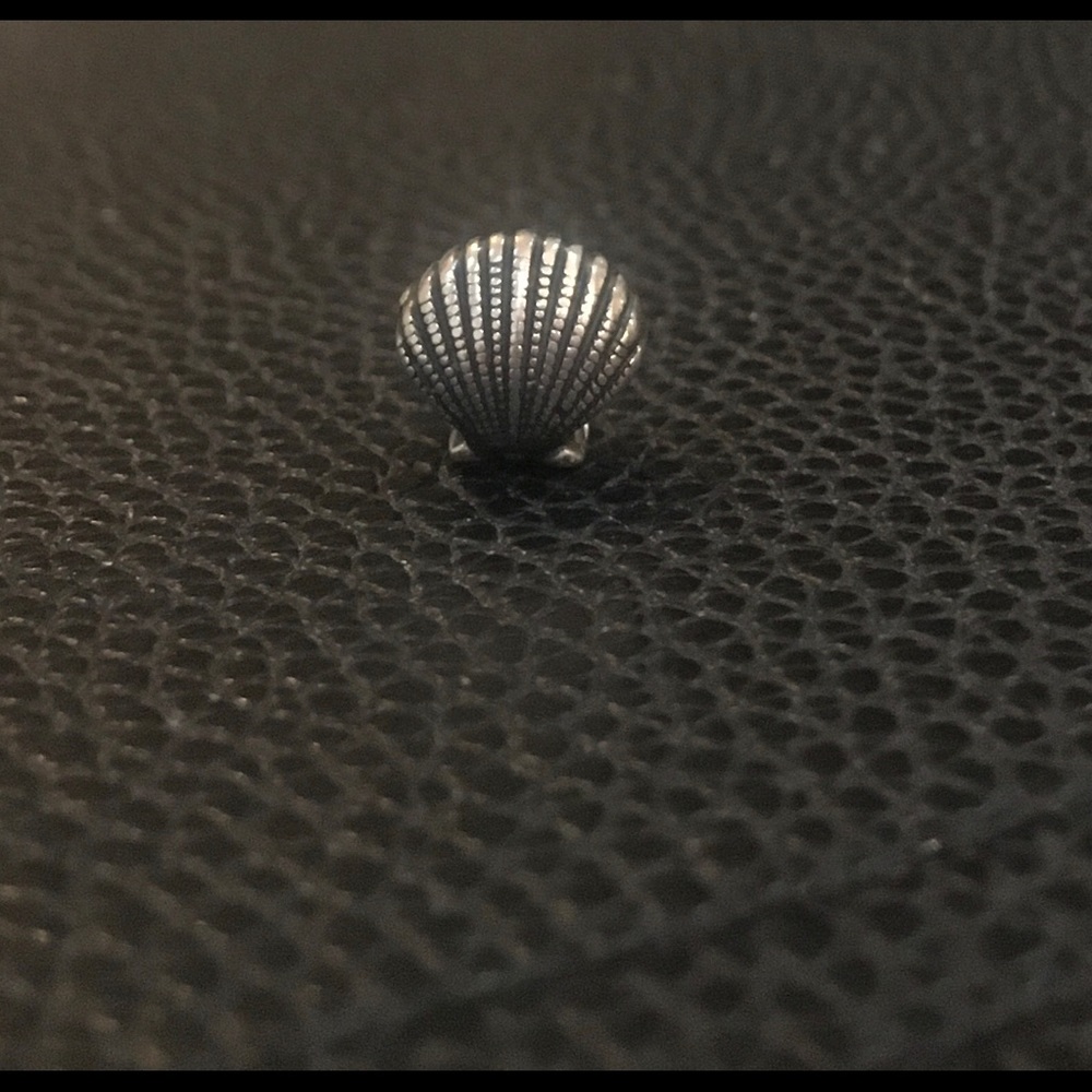 Pandora Seashell